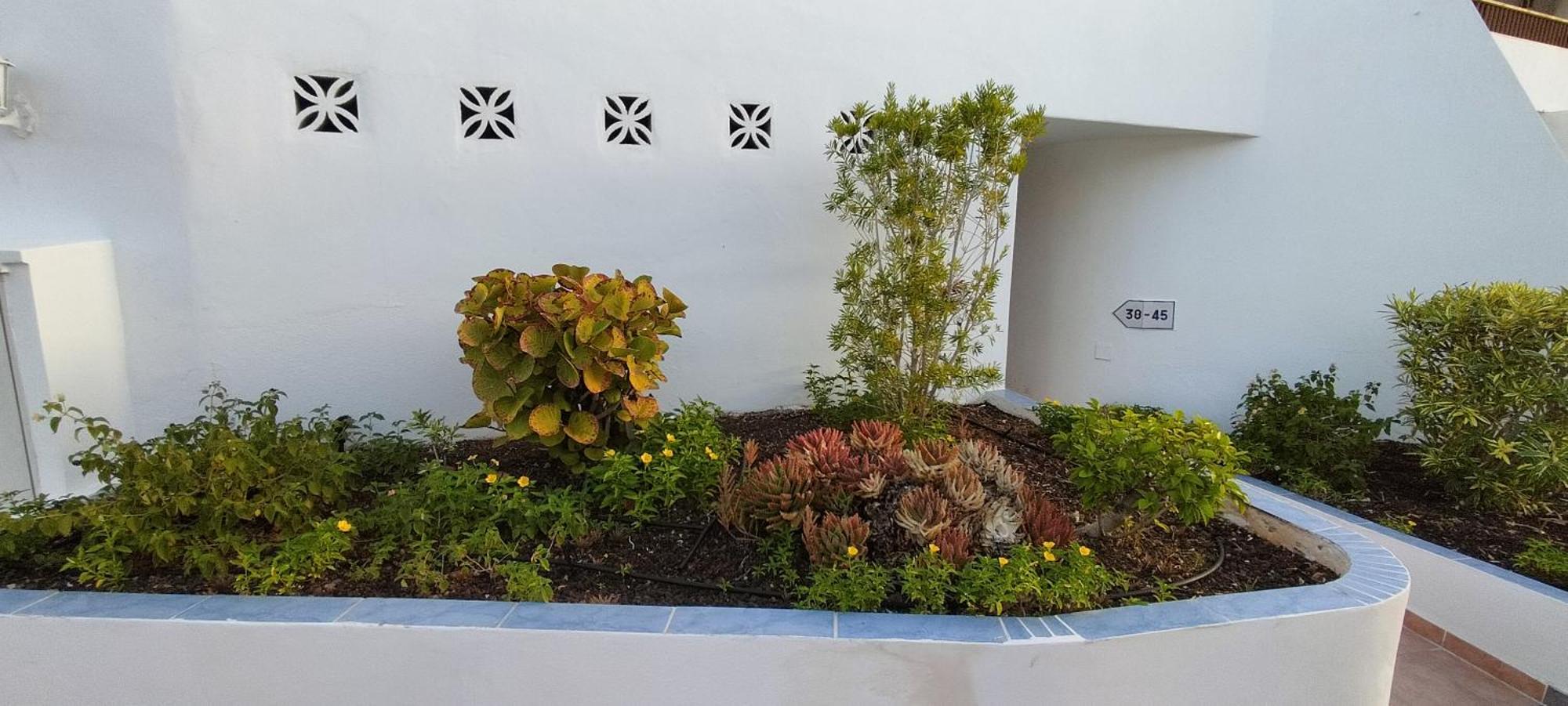 Ocean View Near The Beach Costa Adeje Costa Adeje (Tenerife) Exterior foto